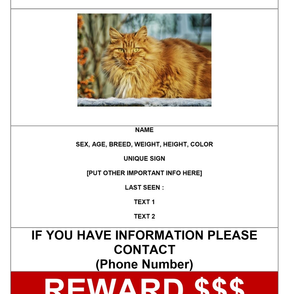 Missing Cat Poster