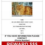 Missing Cat Poster