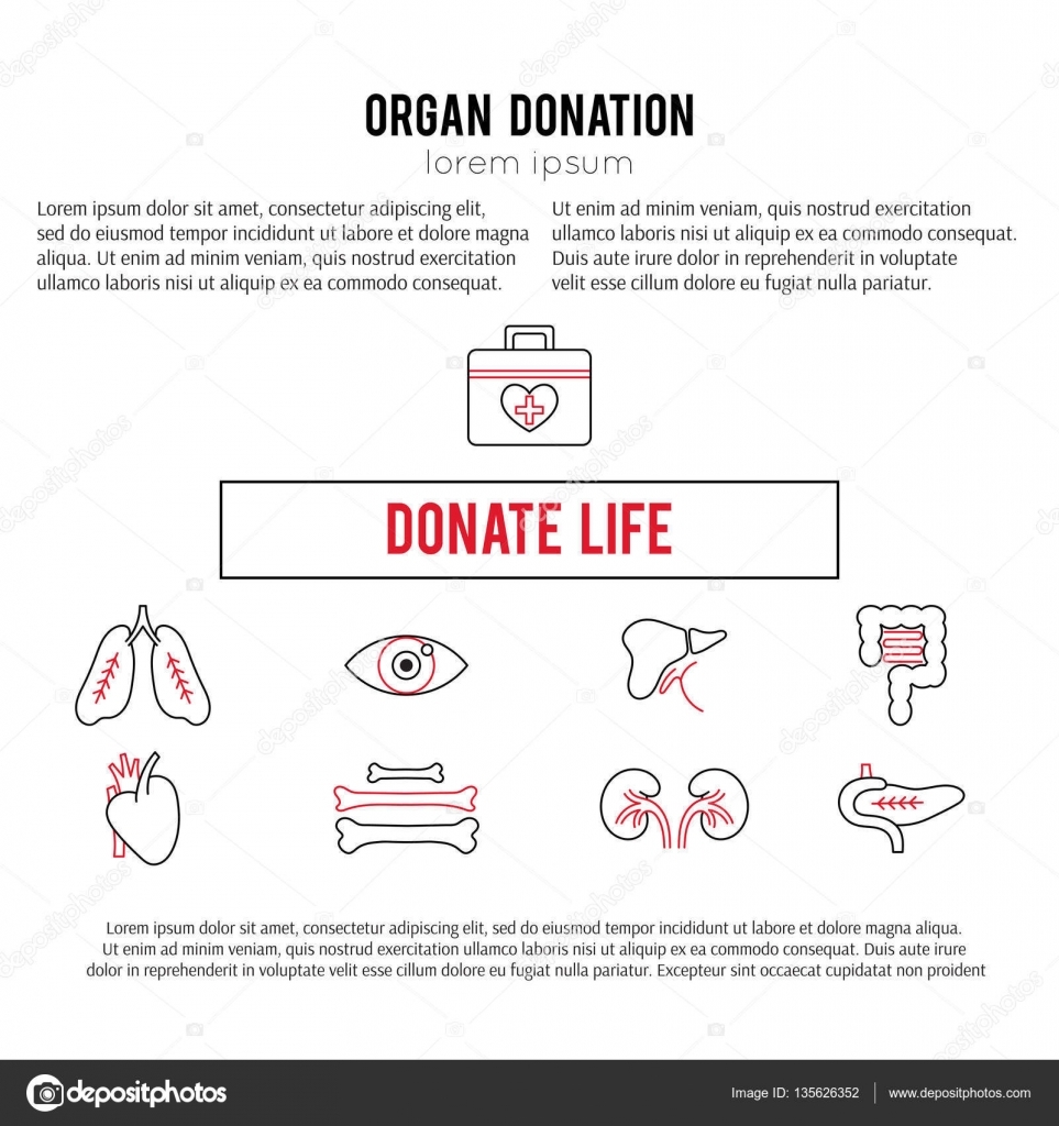 Organ Donation Template Stock Vector Juliakhimich 135626352 