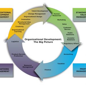 Organizational Development The Big Picture Cheat Sheet Davidpol