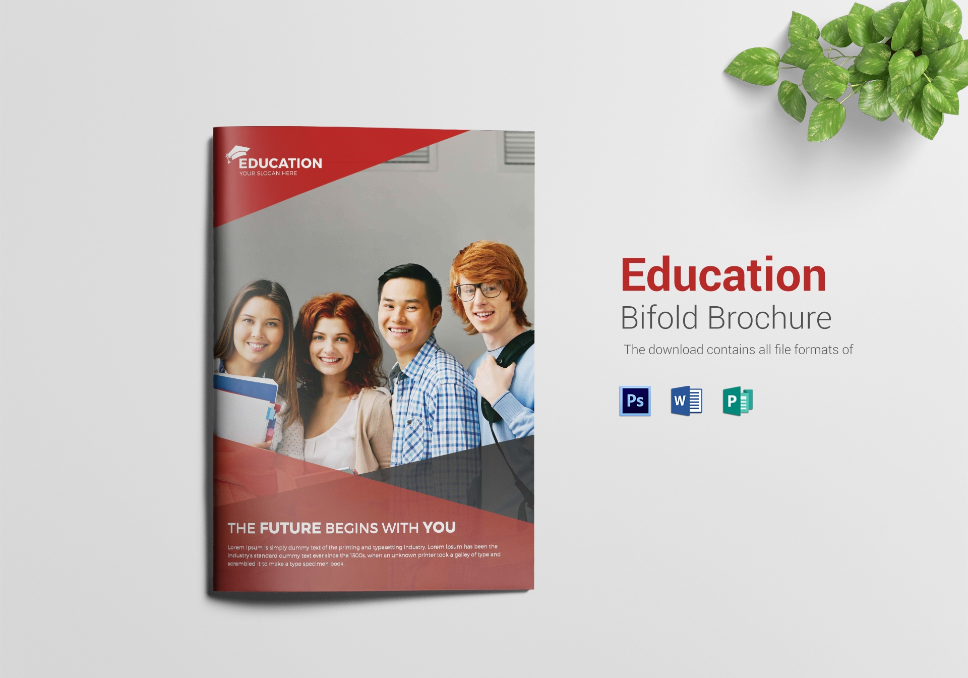 Patient Education Brochure Templates Kleobergdorfbibco 