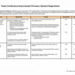 Process Improvement Plan Template Canasbergdorfbibco