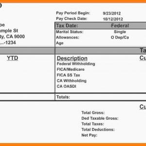 Sample Check Stubs Canasbergdorfbibco