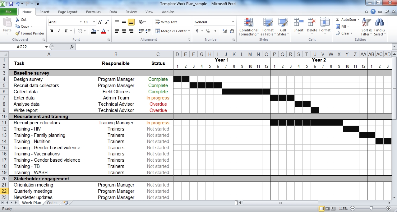 Work Plan Template Tools4dev 