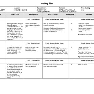 008 Plans Day Action Best 100 Plan Template Templates Ceo First Days