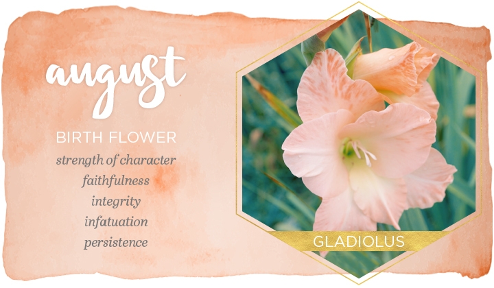 Birth Month Flowers And Their Meanings