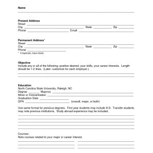 Blank Resume Template Pdf Blank Resume Templatemmmmmmmmmmmm