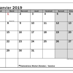 Calendrier Janvier 2019 Canton De Genve Michel Zbinden Fr