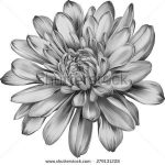 Chrysanthemum November Birth Flower Tattoo Birth Flower Tattoo Ideas