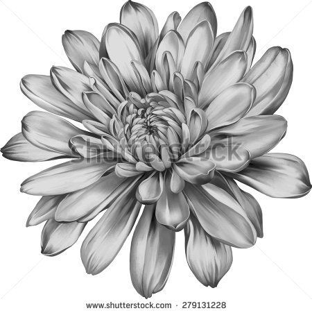 Chrysanthemum November Birth Flower Tattoo Birth Flower Tattoo Ideas