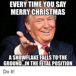 Everytime You Say Merry Christmas A Snowflake Falls To The Groundin