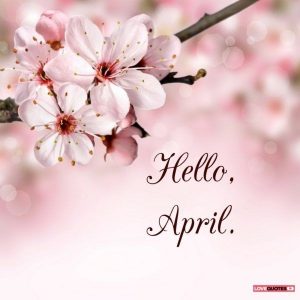 Hello, April! | Signs | New Month, April Images, April Quotes