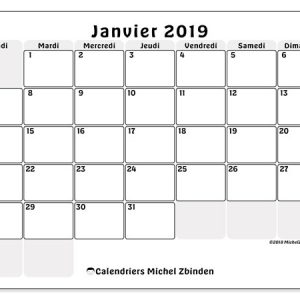 Calendriers Janvier 2019 (Ld) - Michel Zbinden Fr