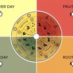 Fruit Day Vs. Root Days: Wine Tastingthe Lunar Calendar