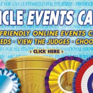 Introducing The Canine Chronicle Events Calendar – The User