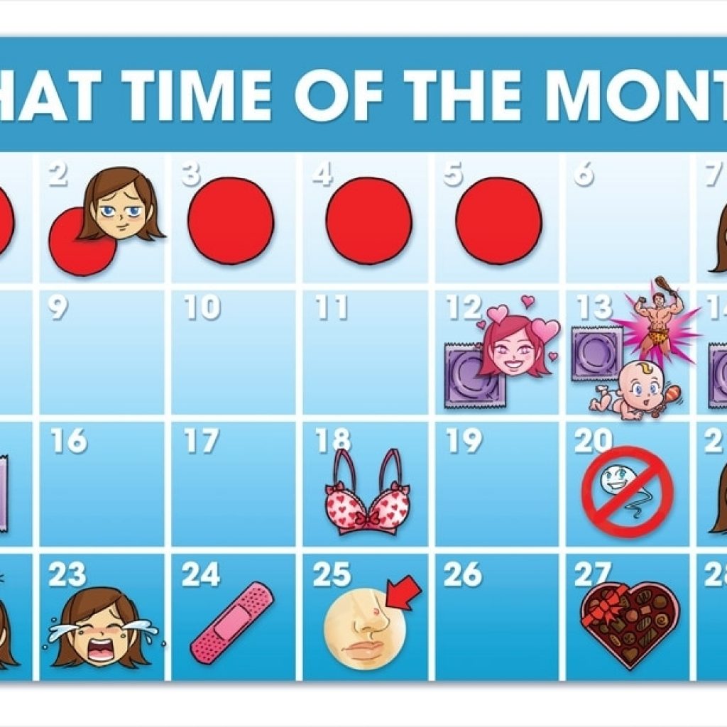 Map Your Menstrual Cycle Day-By-Day - Steven And Chris