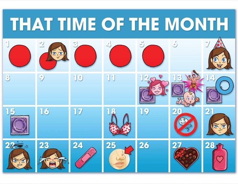 Map Your Menstrual Cycle Day-By-Day - Steven And Chris