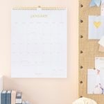 Sugar Paper All-New 2019 Wall Calendar | Wall Calendar