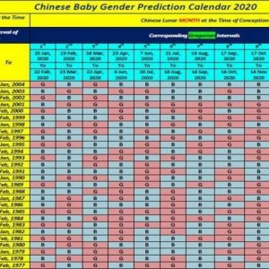 Chinese Lunar Calendar 2020 Printable Template In 2020 (With