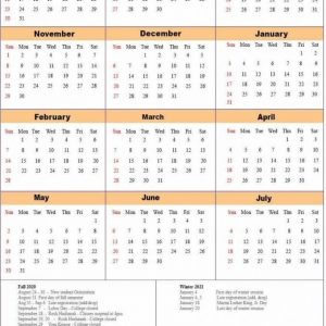 🥰nyc School Holidays Calendar 2020-2021🥰 | Nyc School