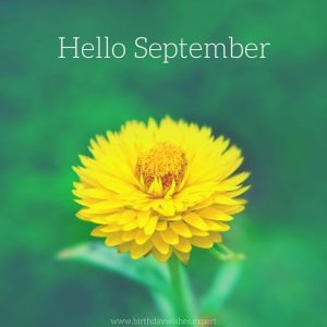 Hello, September! | Inspired Quotes For A Productive Autumn