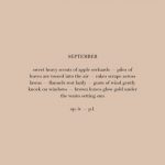 Late Summer | Tumblr | Autumn Quotes, September Quotes, Words