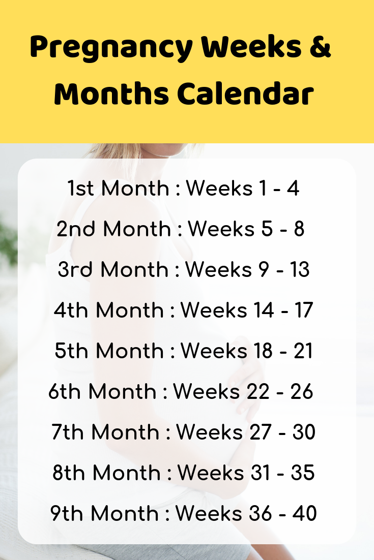 pregnancy-calendar-week-by-week-download